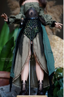 Swamp Pirate