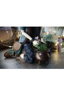 Cabbage Flower Minifee Outfit Cabbage Flower Minifee Outfit